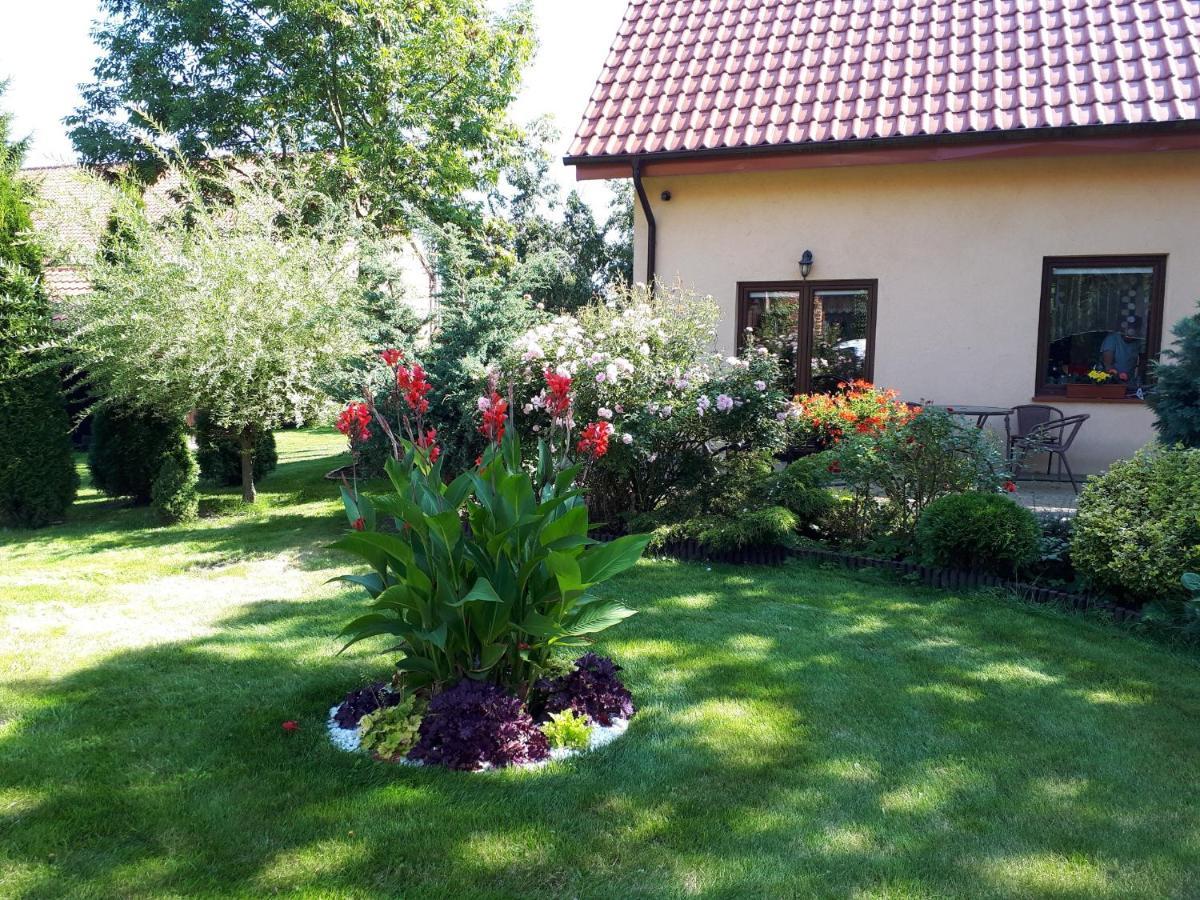 Agroturystyka Druzno Elbing Exterior foto
