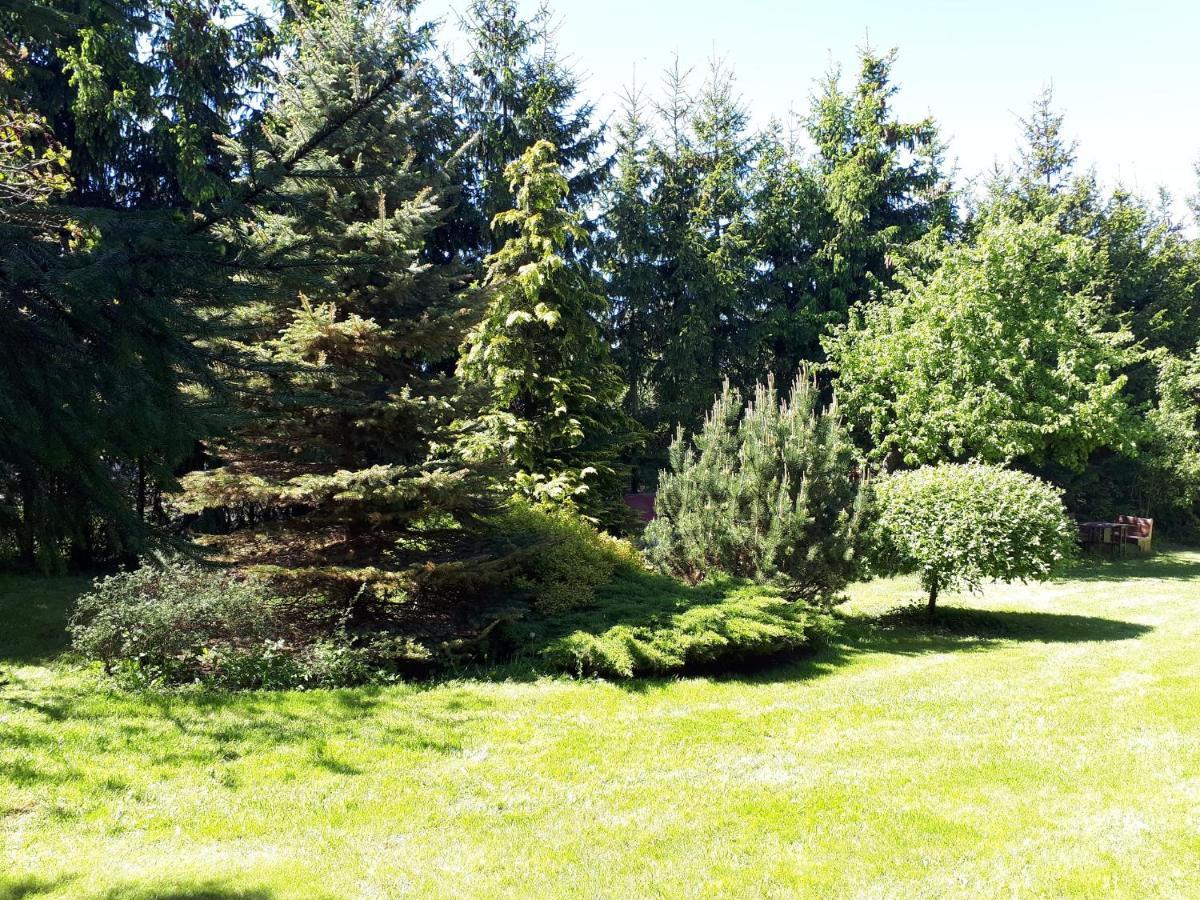 Agroturystyka Druzno Elbing Exterior foto