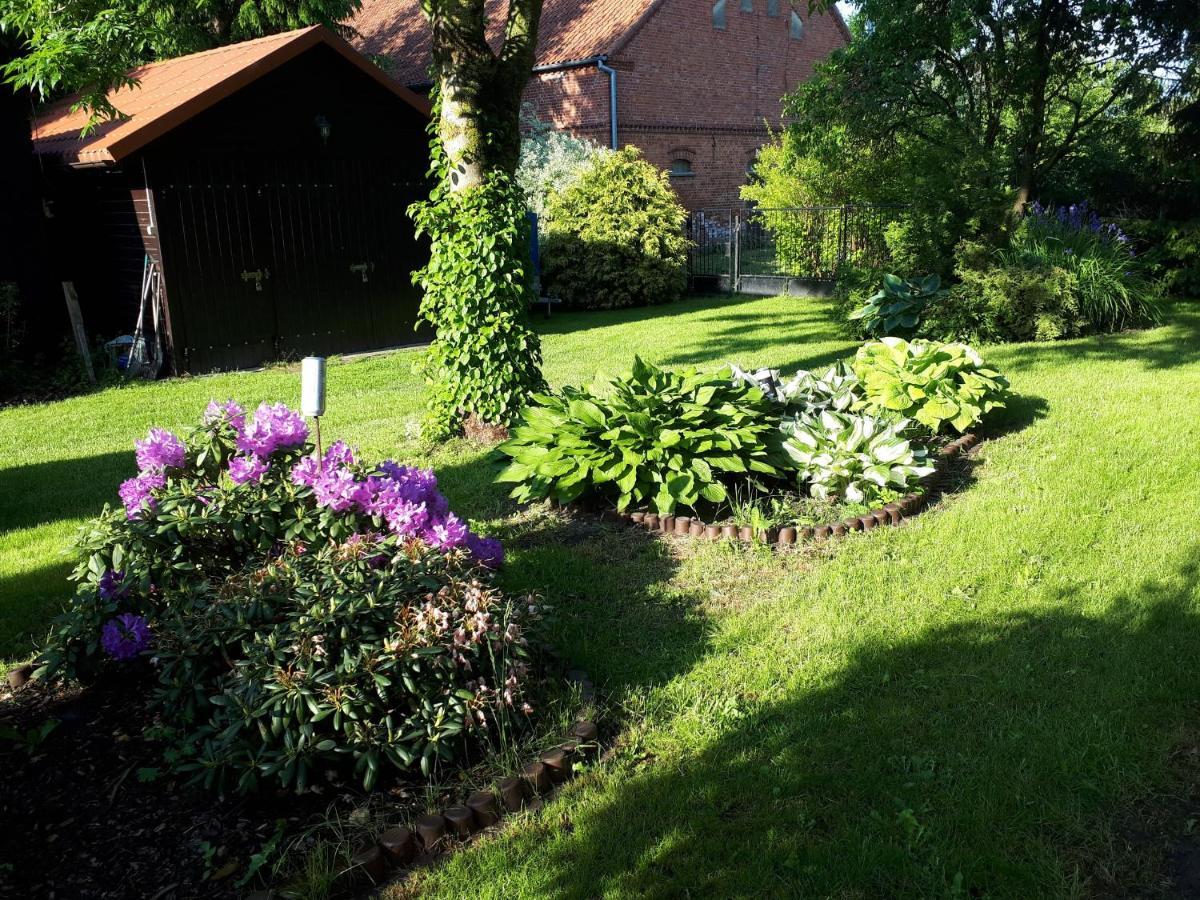 Agroturystyka Druzno Elbing Exterior foto